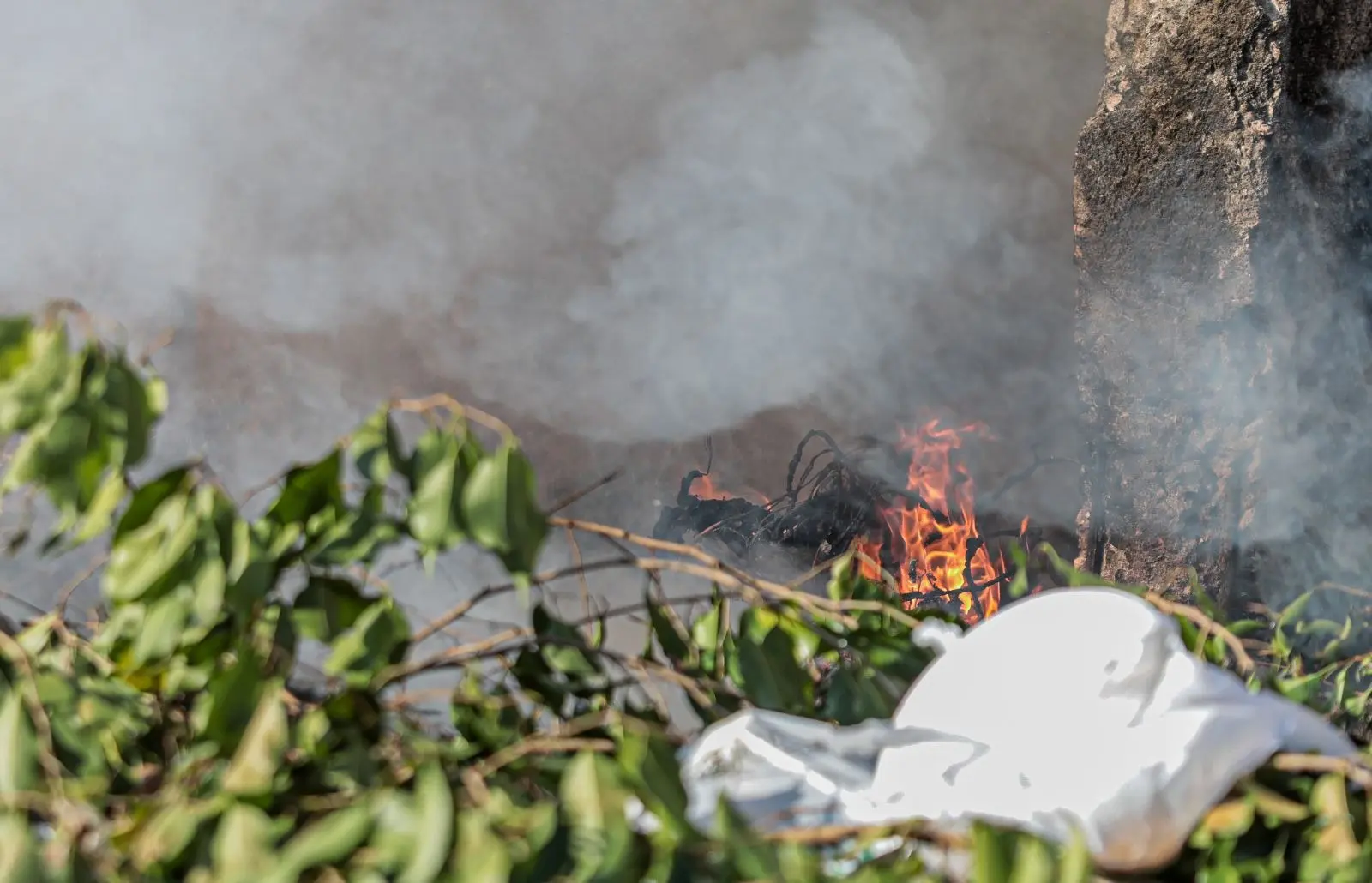 Combate às queimadas é intensificado durante período de seca em Porto Velho