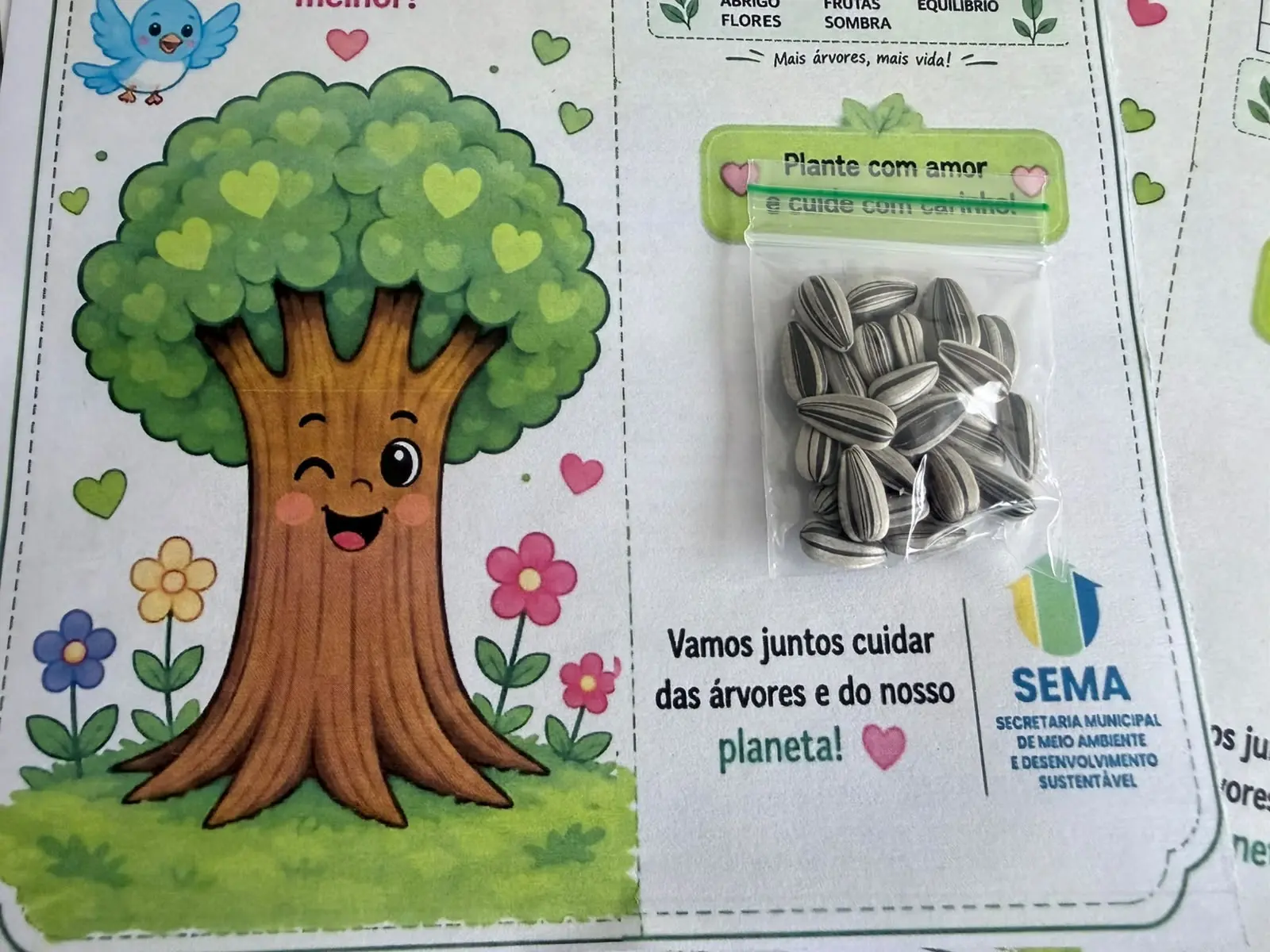 Girassóis vão colorir o Esquenta do Aniversário de Porto Velho neste sábado