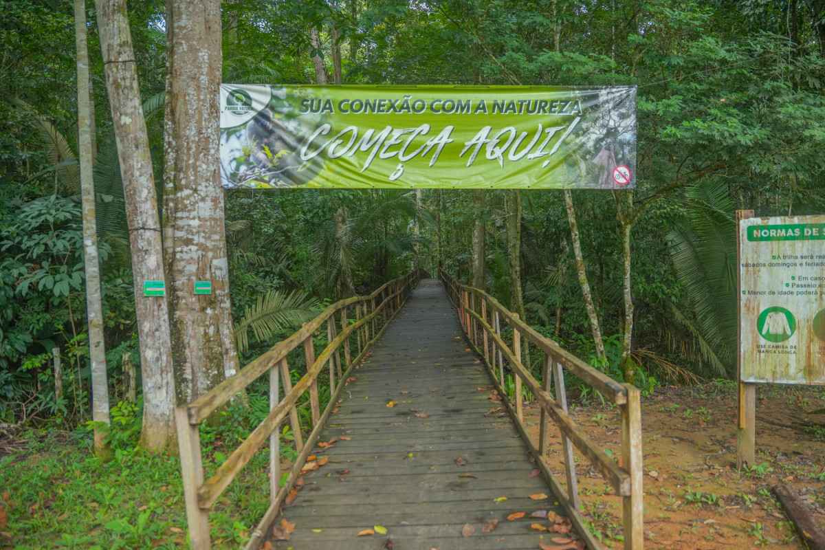 Trilha dentro da floresta é a nova atração do Parque Natural