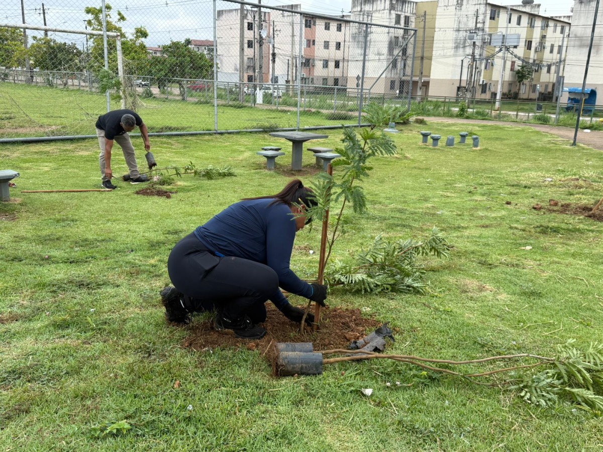 Plantio de mudas beneficia comunidade do Morar Melhor