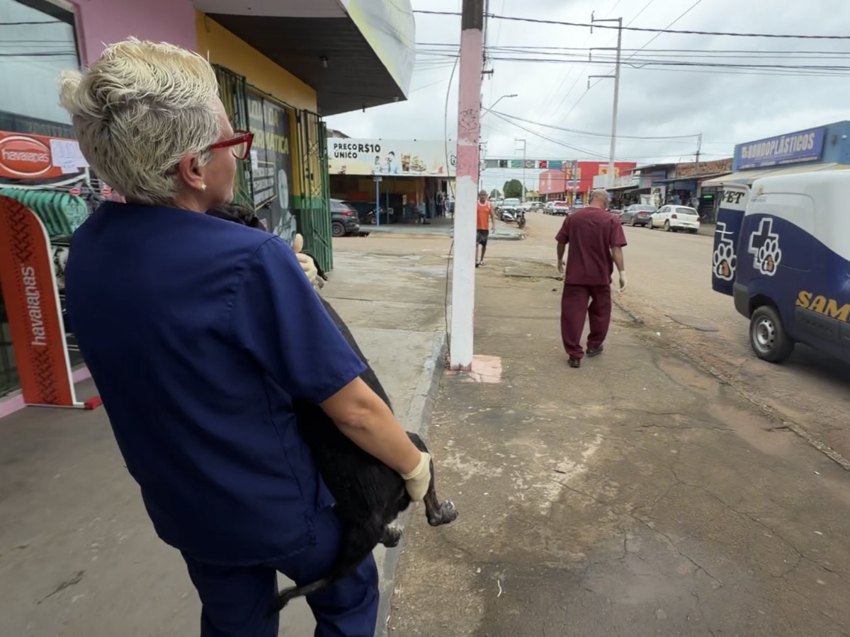 Prefeitura resgata cachorro abandonado e retoma tratamento