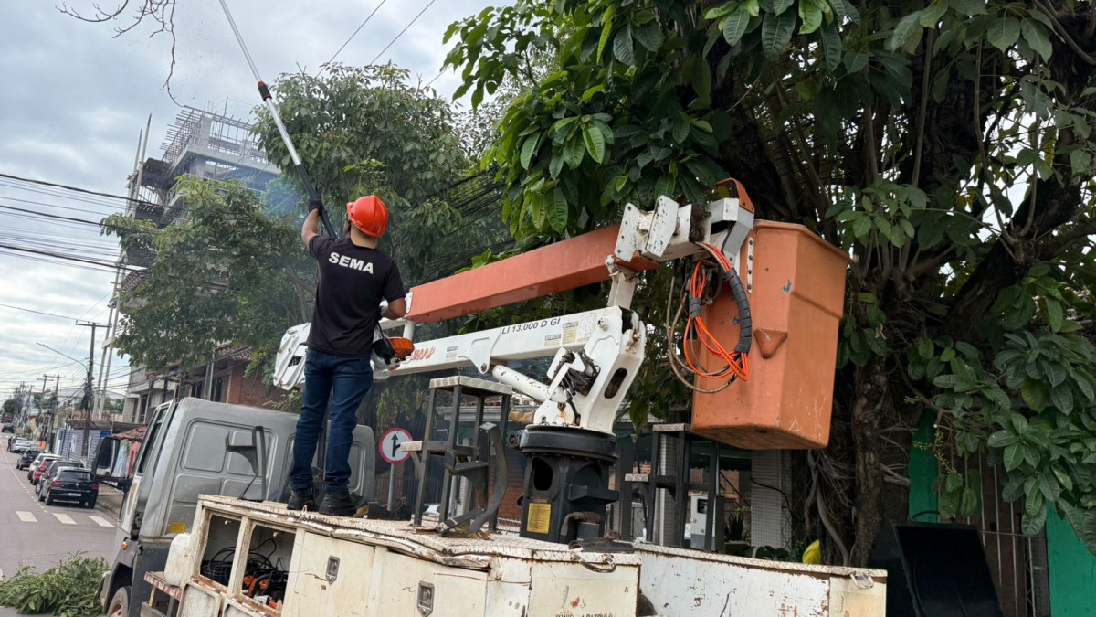 Serviços de poda avançam em avenidas de grande circulação da capital