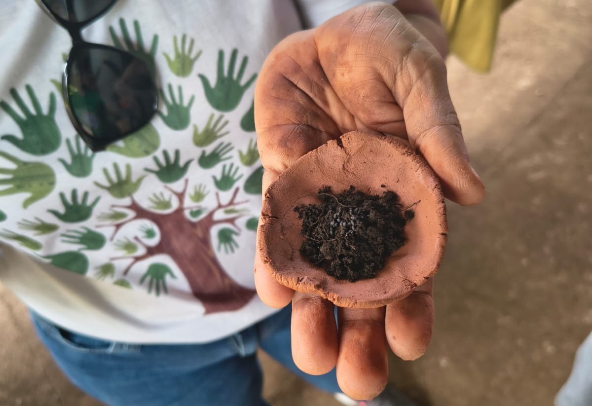 Voluntários aprendem técnicas de reflorestamento e recuperação ambiental em oficina sustentável