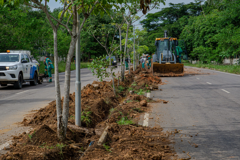 Pró-Enterra PVH visa substituir a fiação aérea de energia e telecomunicações por sistemas subterrâneos