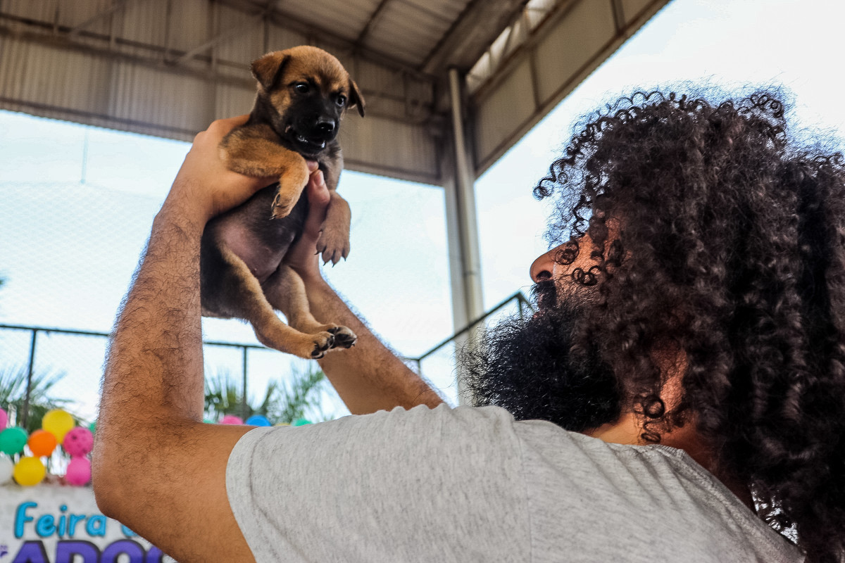 Adoção em vez da compra de animais de estimação ajuda a reduzir o número de animais abandonados