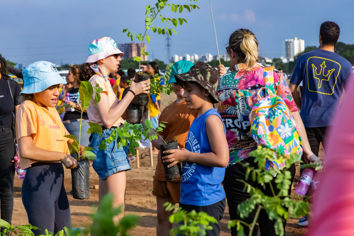 Mega plantio: foram plantadas 30.875 mudas de árvores nativas e frutíferas em apenas 30 minutos