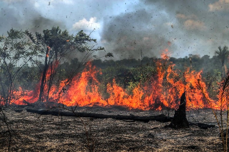 Mês de junho foi o que mais gerou denúncias de focos de calor à Sema