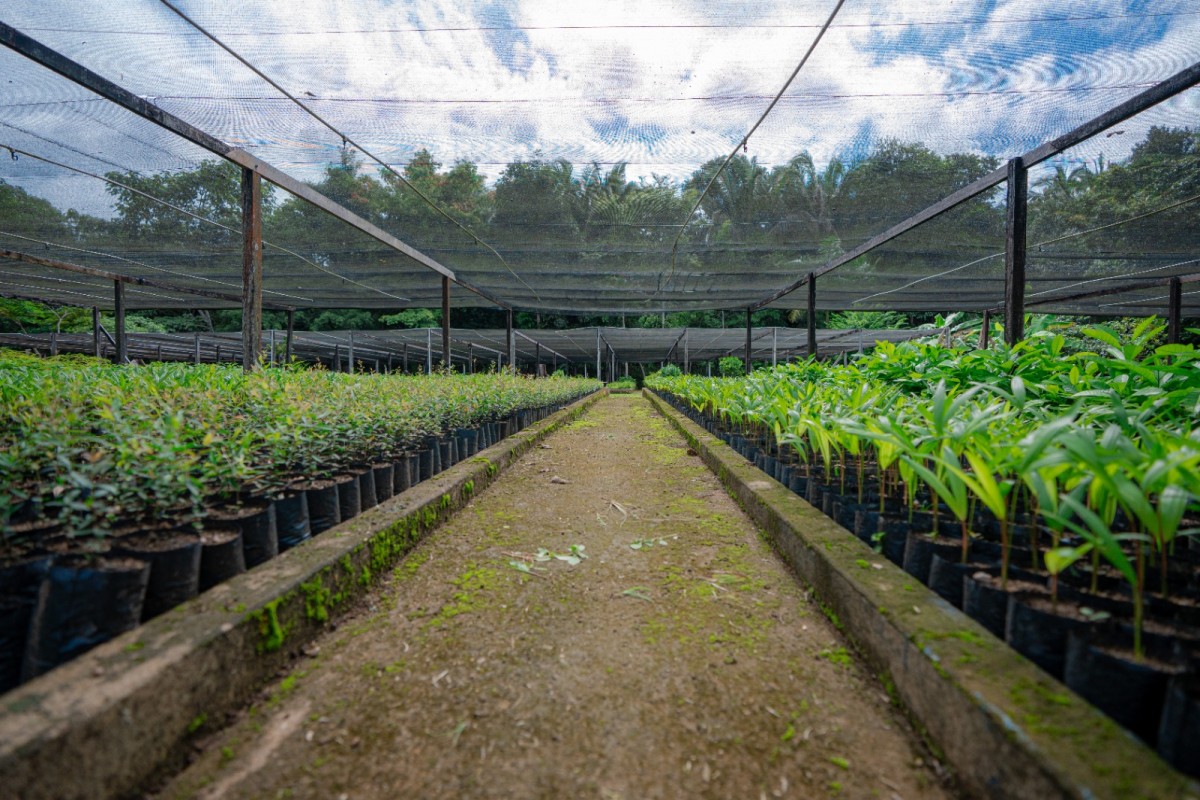 Ação conjunta se consolida como um importante gesto de responsabilidade socioambiental 