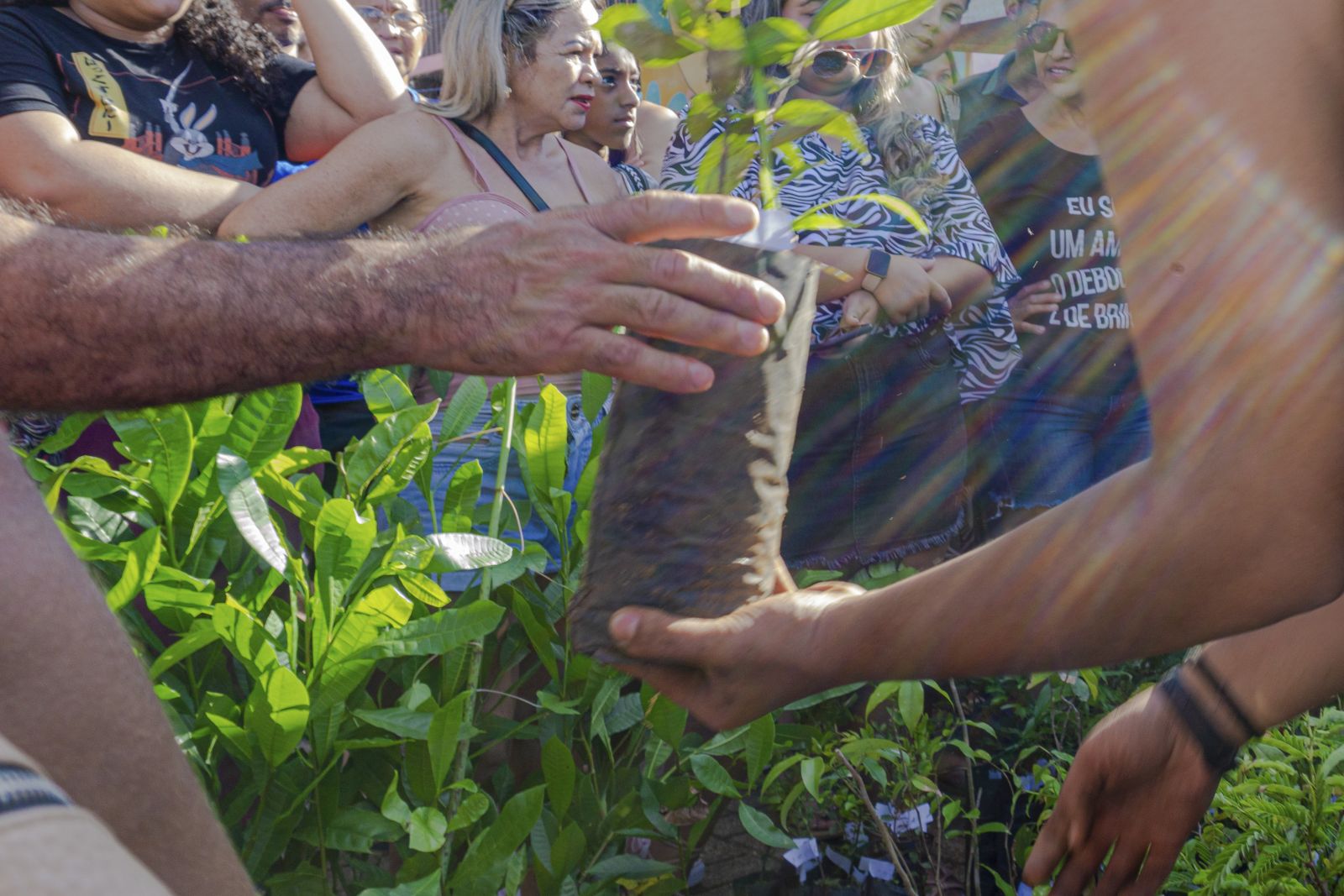 Objetivo da ação é conscientizar as pessoas sobre a importância das árvores para o meio ambiente