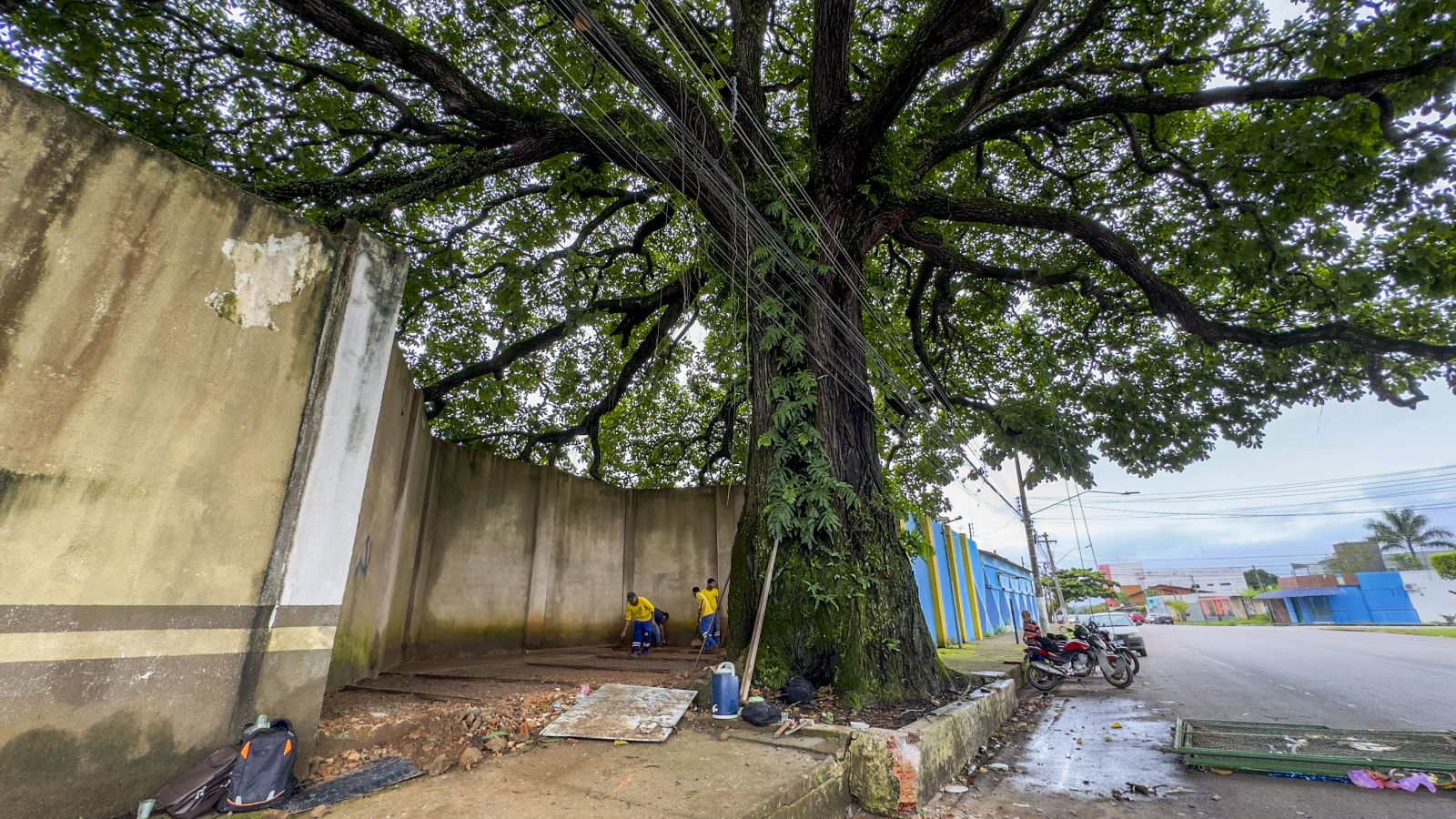 Semdestur possui projeto urbanístico para revitalizar a região da castanheira