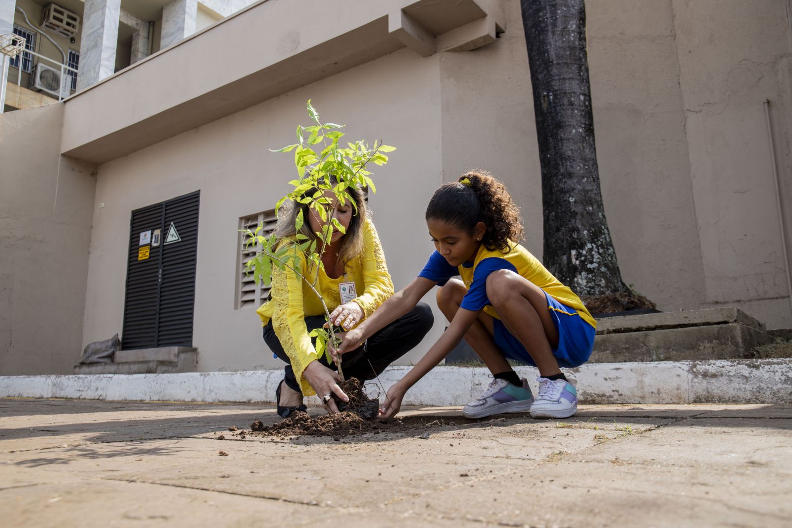 Emeron iniciou a campanha “Adote o Futuro”, também organizada pela Escola com foco na educação ambiental