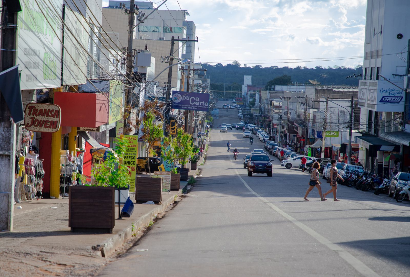 Árvores na Av. Sete de Setembro foram replantadas