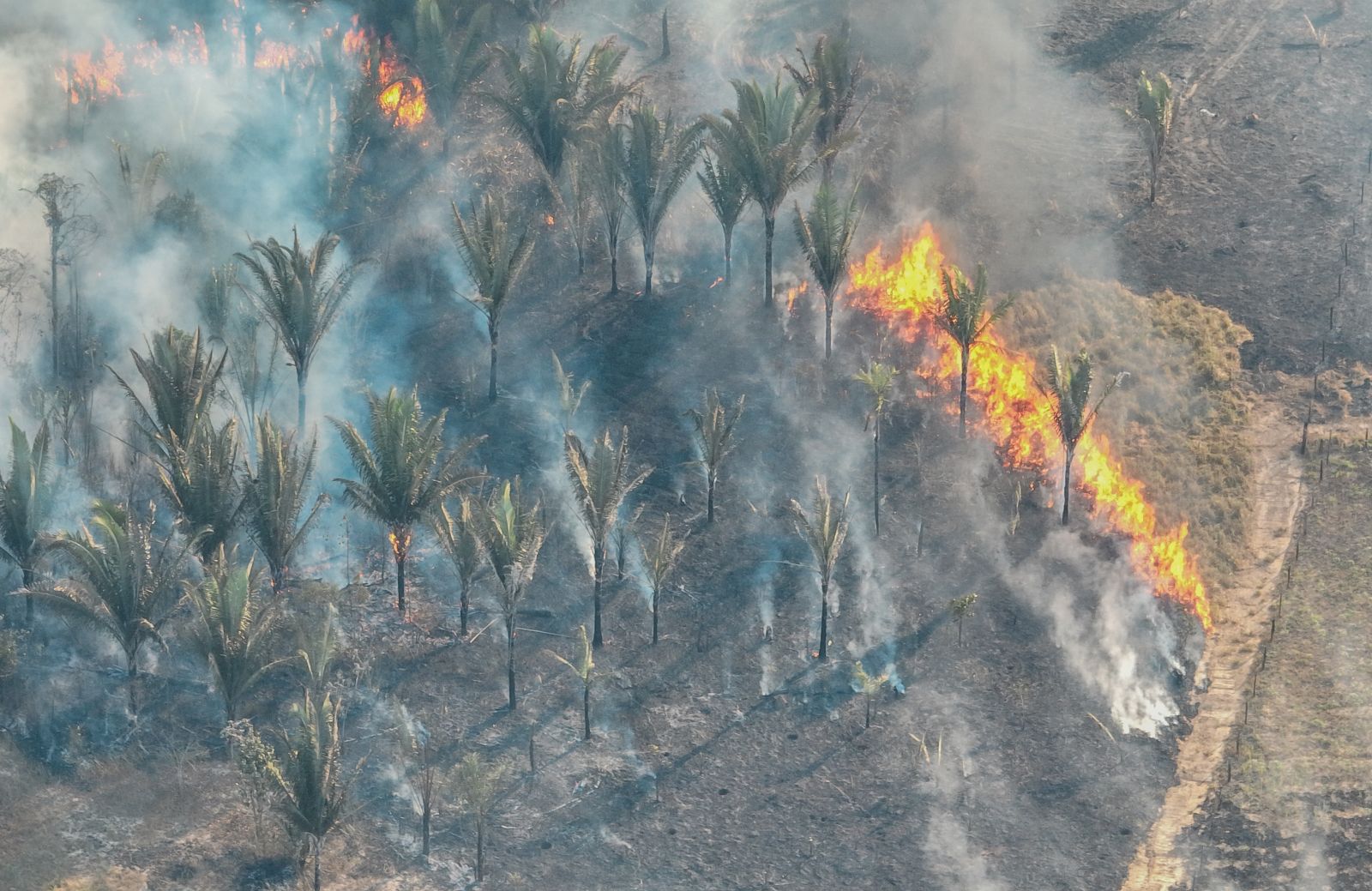 Sema intensificou vistorias desde maio de 2025