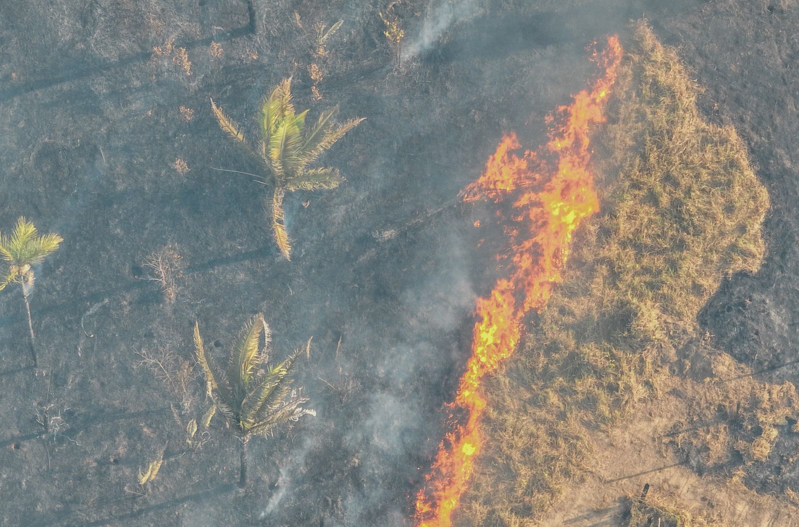 clima mais seco, associado a fumaça, tende a agravar problemas respiratórios