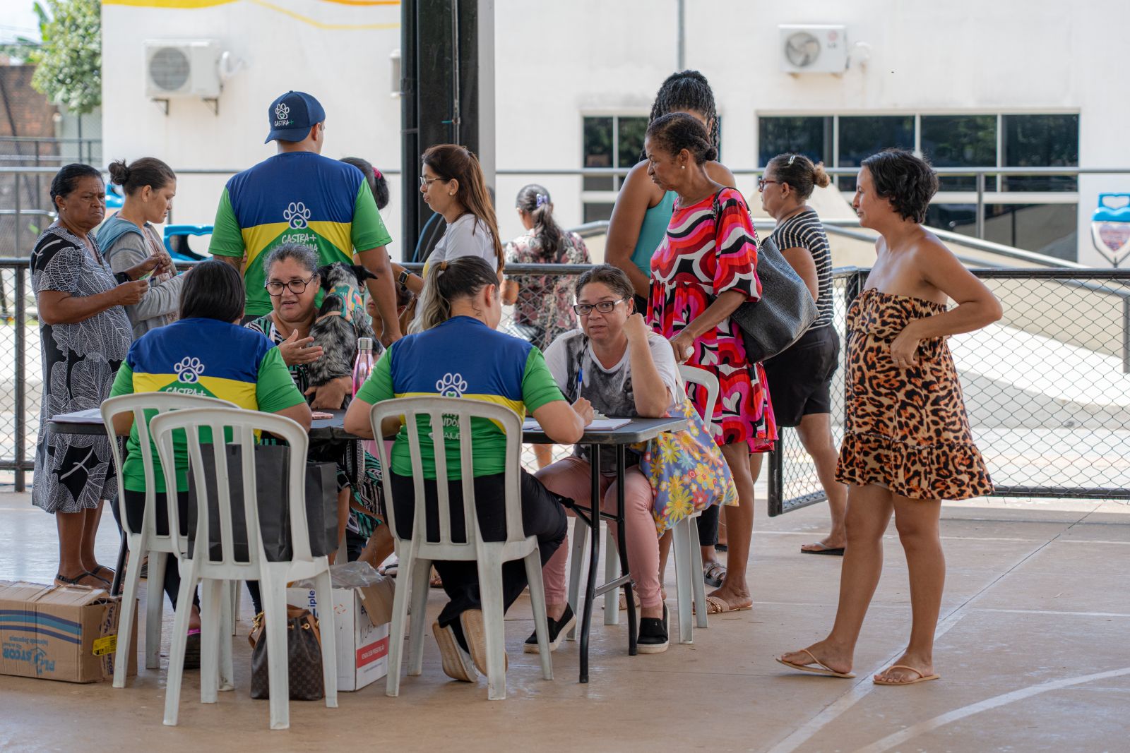 Prefeitura destinou mais de R$ 2 milhões para ações de resgate, castração, tratamento e bem-estar de animais abandonados