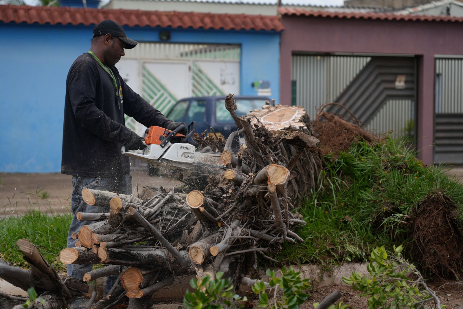 Devido ao entupimento de manilhas, a Sema precisou podar alguns galhos do canteiro 
