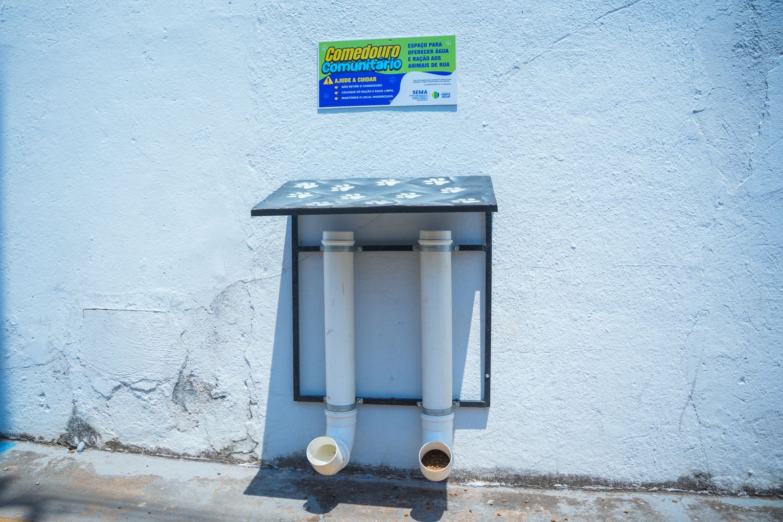 Ação busca garantir alimentação regular para cães e gatos em situação de rua ou sob cuidado de abrigos