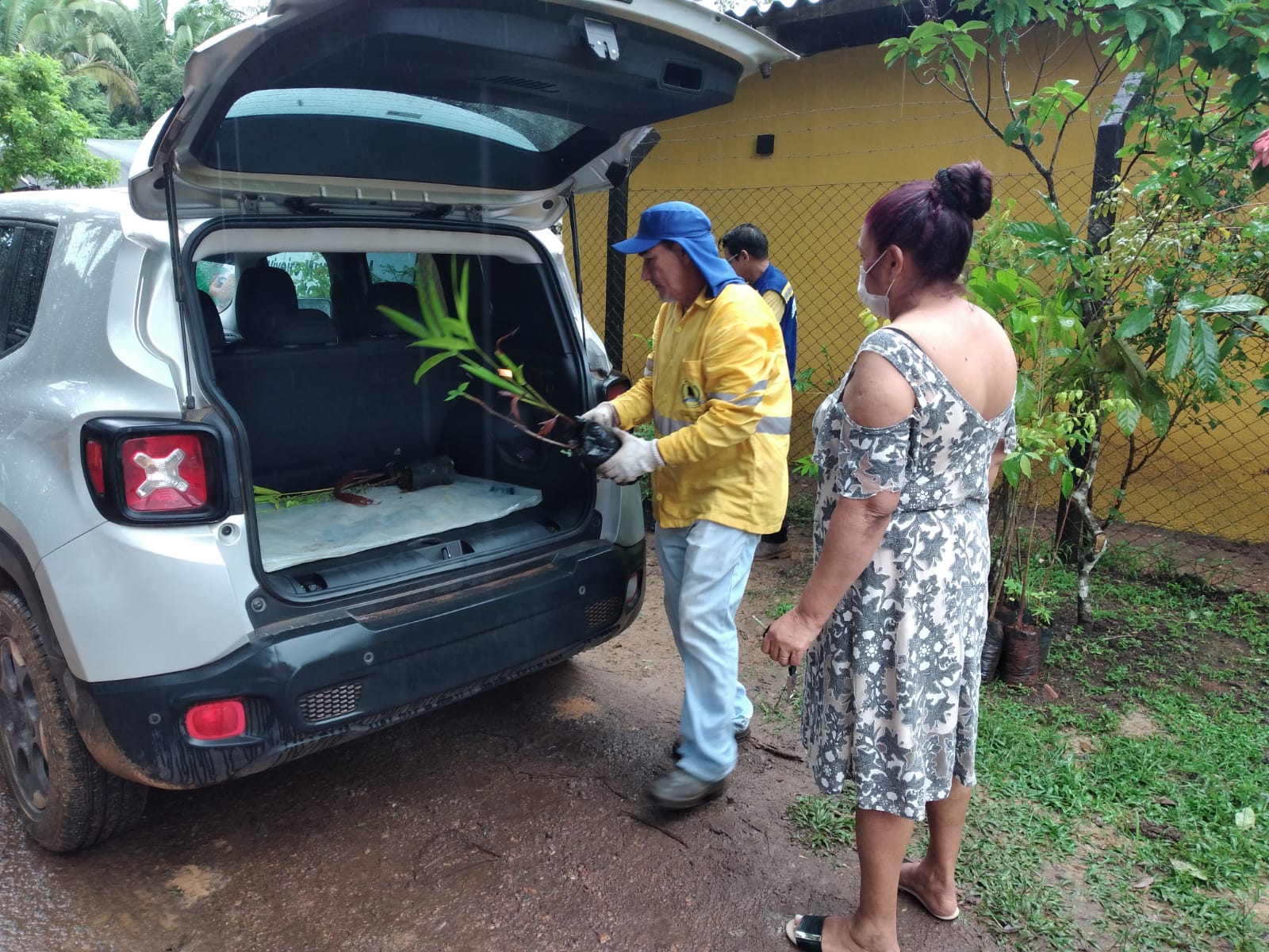 Moradores com solicitação aprovada devem fazer retirada no Viveiro Municipal