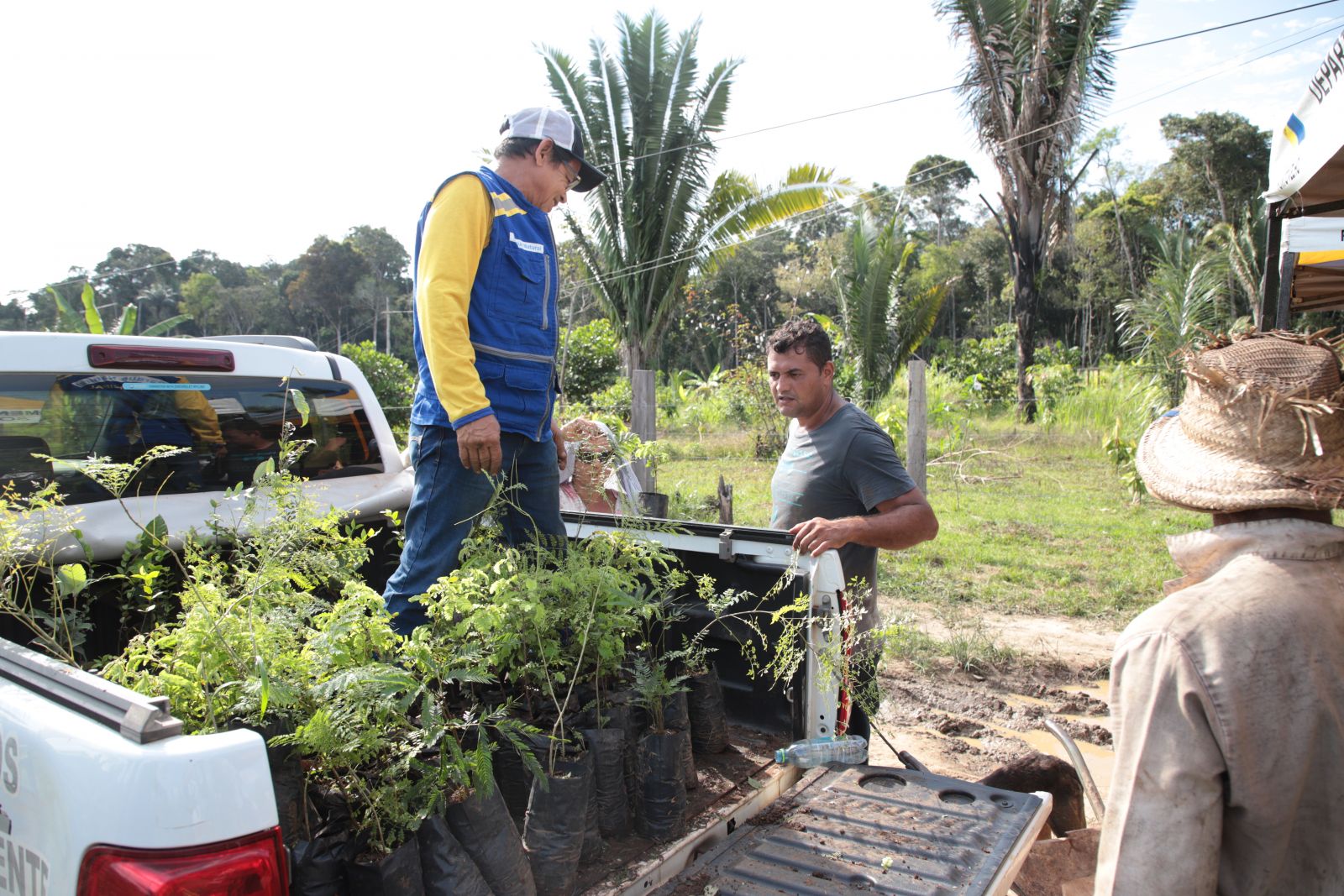 Para pegar a muda no viveiro é preciso preencher um requerimento