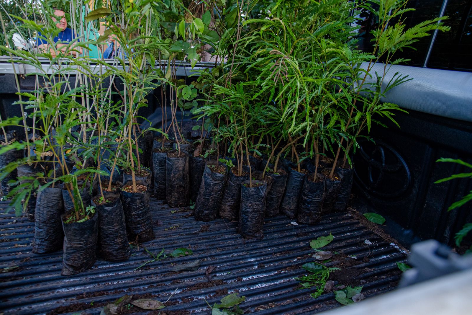 Evento é coordenado pela Sema, em parceria com a Ecoporé