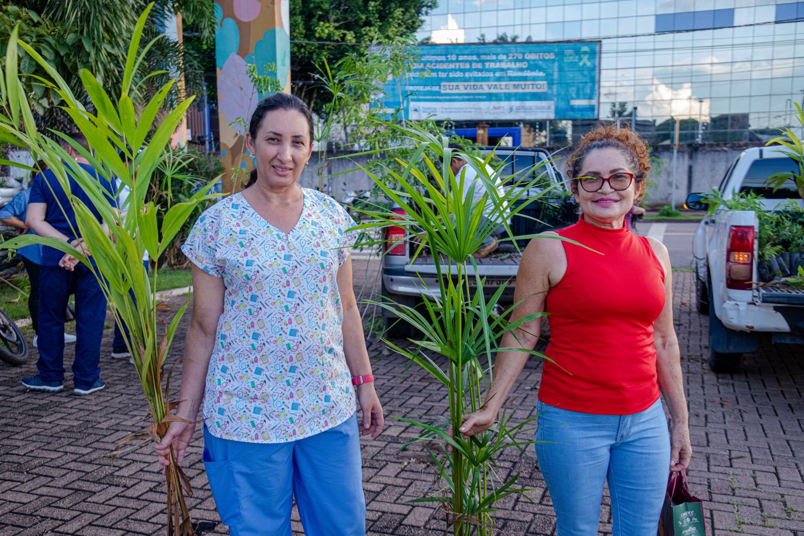 Quem tiver interesse pode solicitar as mudas gratuitamente no Parque Natural