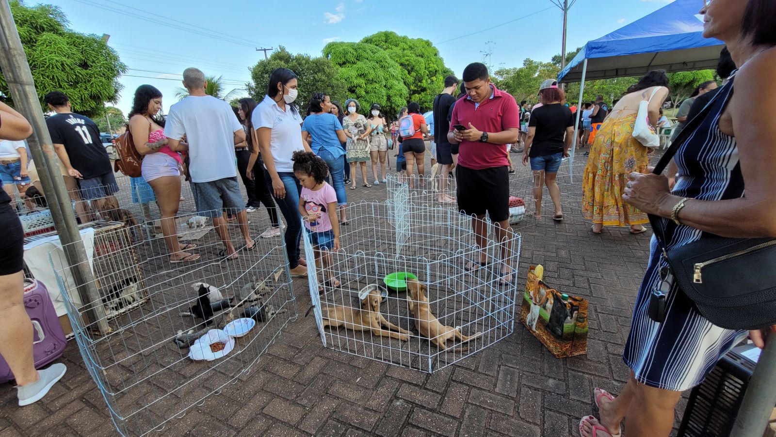 Quem adotar um pet, ganhará um kit com ração e brinquedo