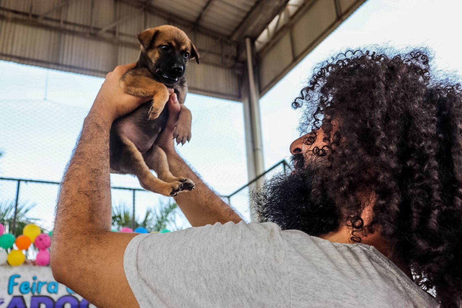 Chefe de cozinha adotou uma filhote de vira-lata após perder companheira de quatro patas