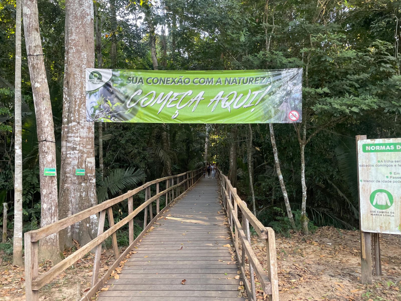Trilha a pé tem 3 quilômetros de extensão pela floresta