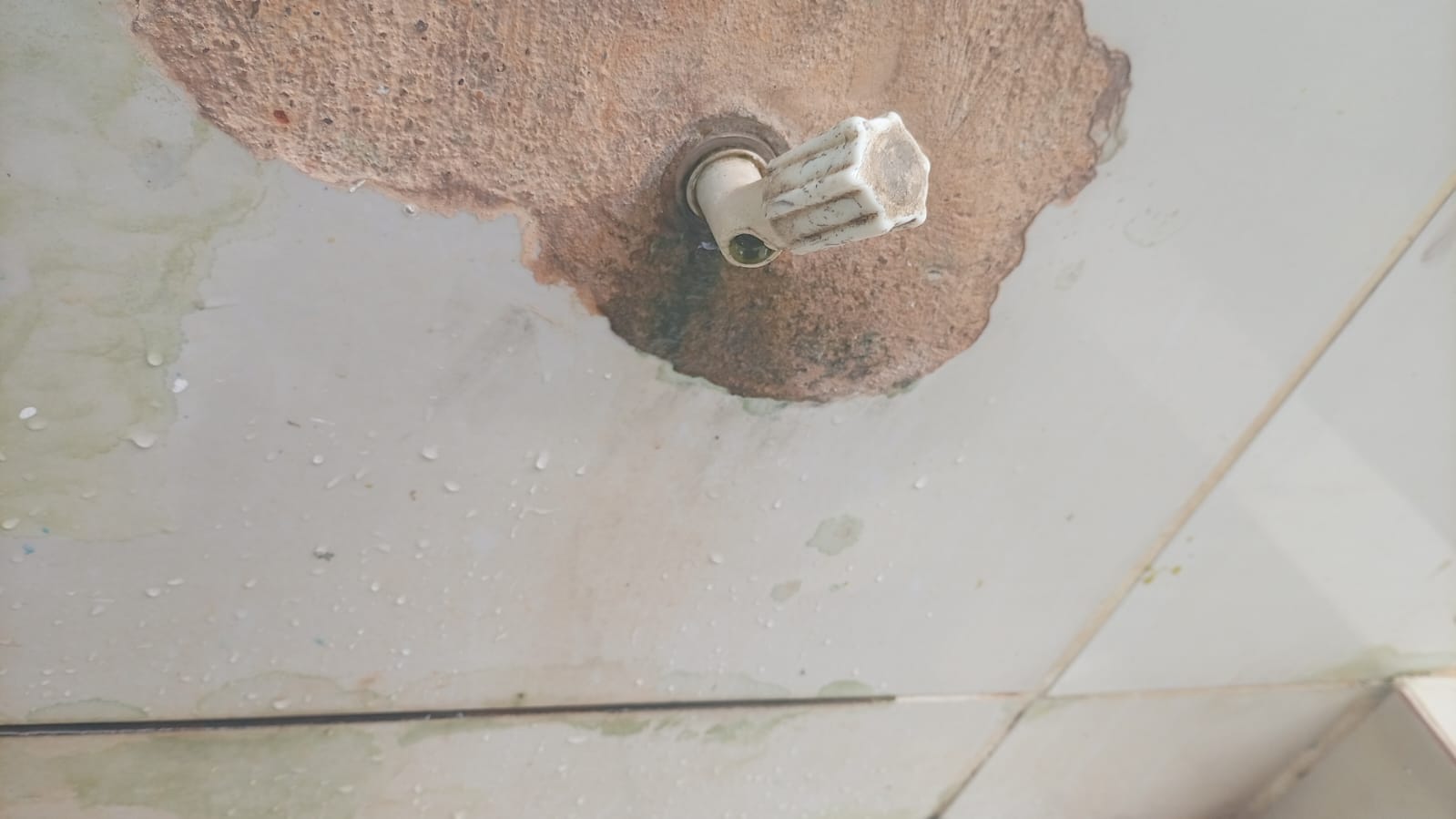 Expectativa é que os reparos sejam realizados para que o Parque Circuito volte a funcionar normalmente