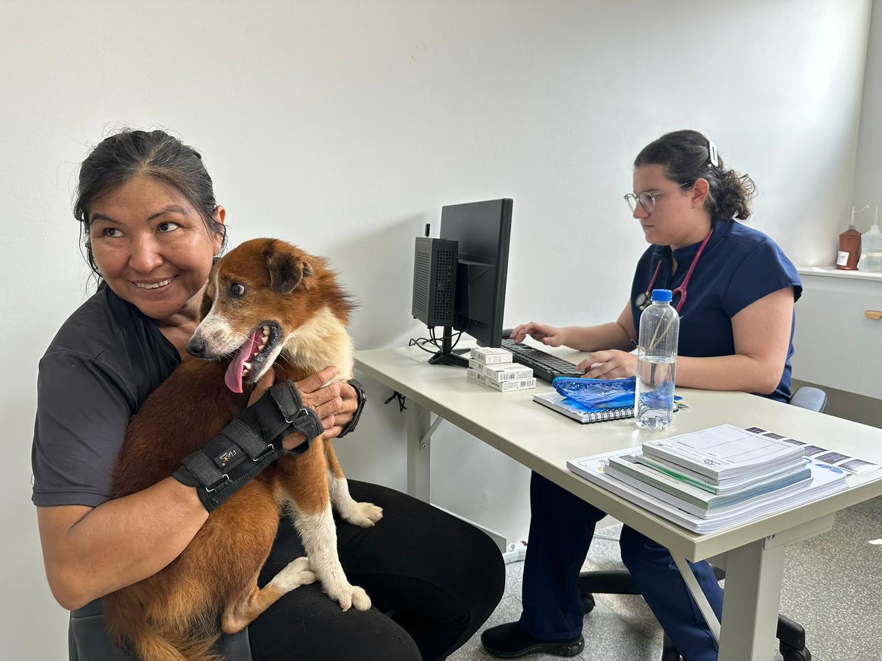 Cada tutor poderá realizar um atendimento por animal por dia