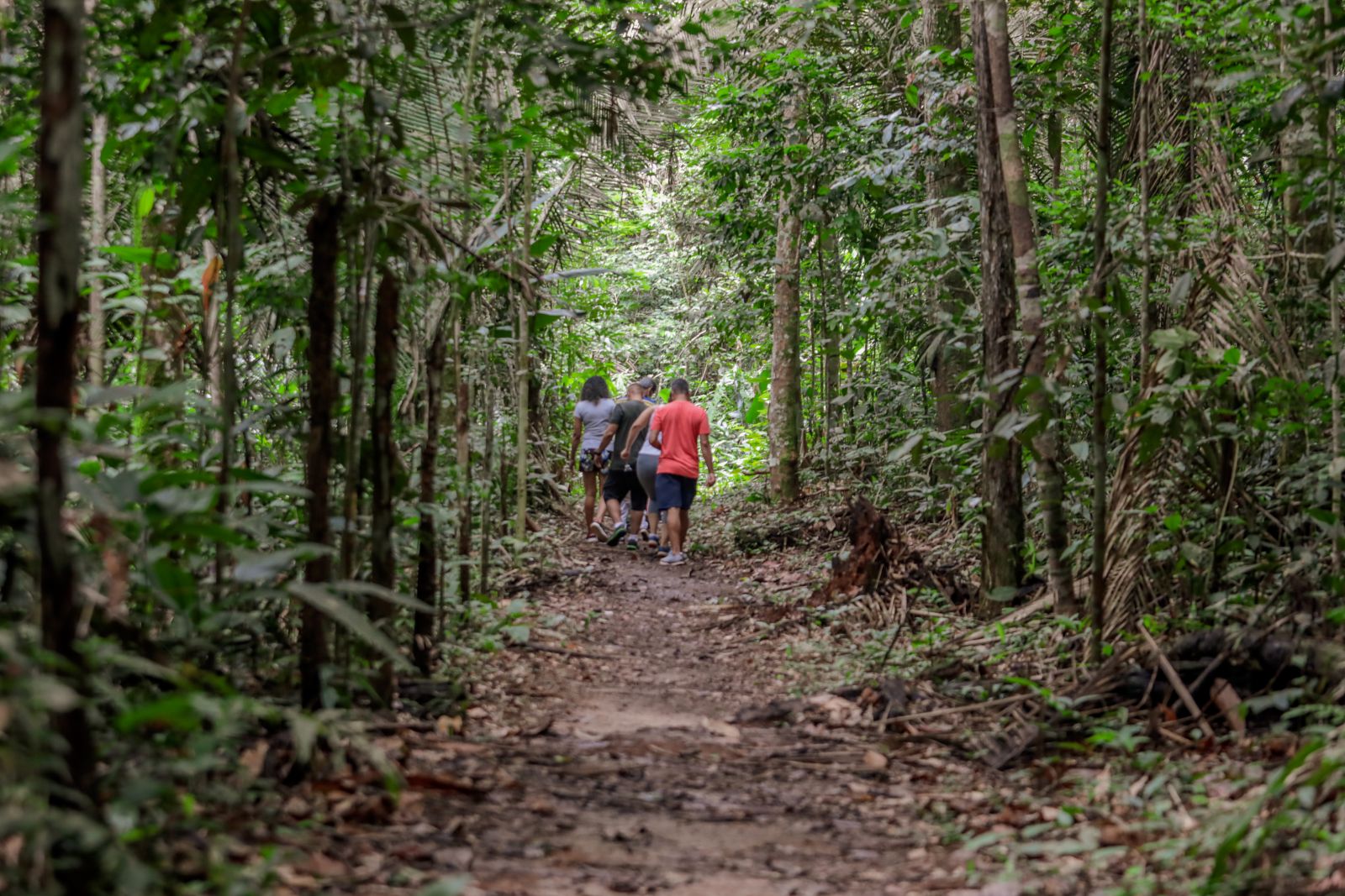 O mutirão de limpeza começa pelo Parque Natural neste sábado