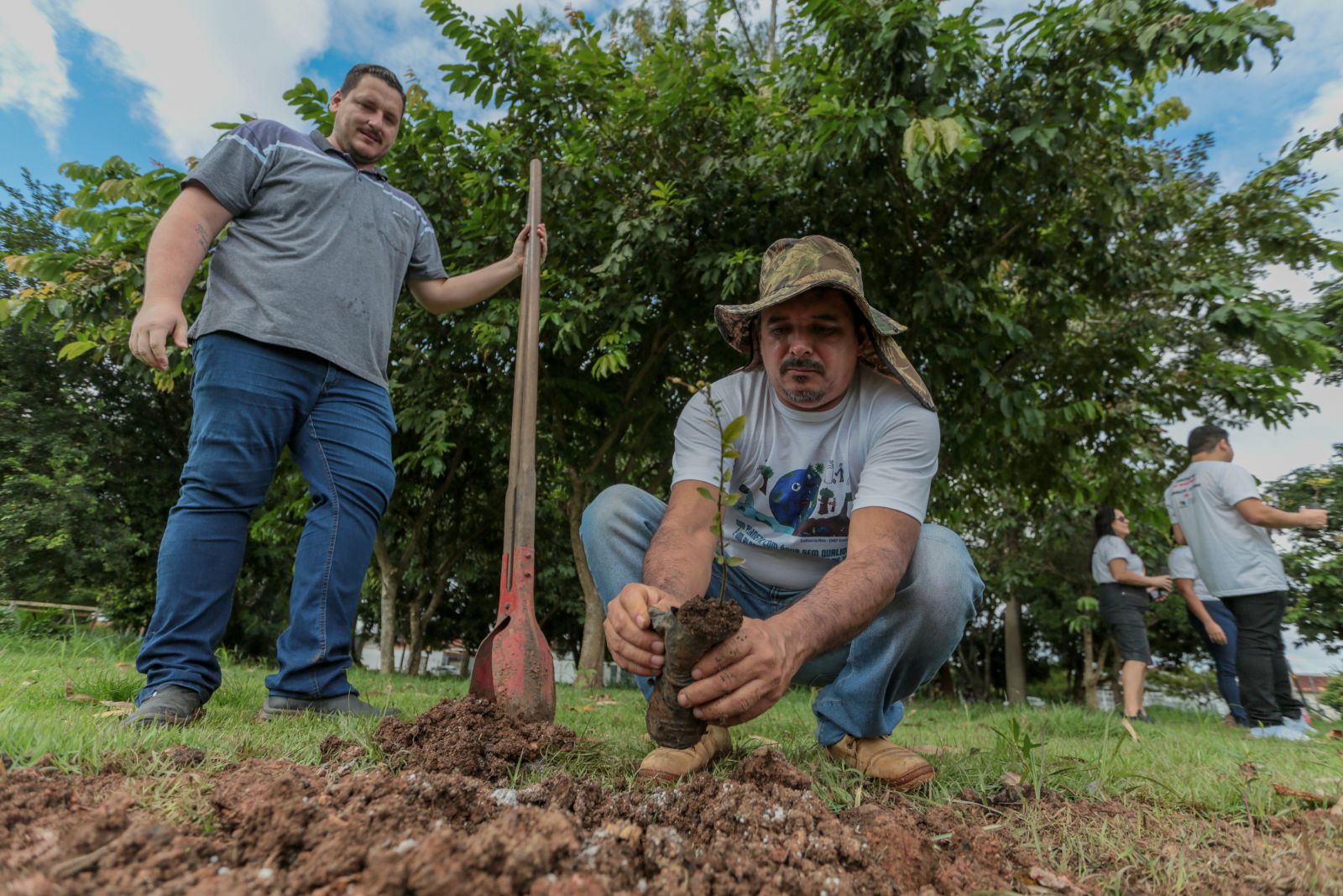 Mudas serão plantadas de forma estratificada, como se fosse dentro da floresta