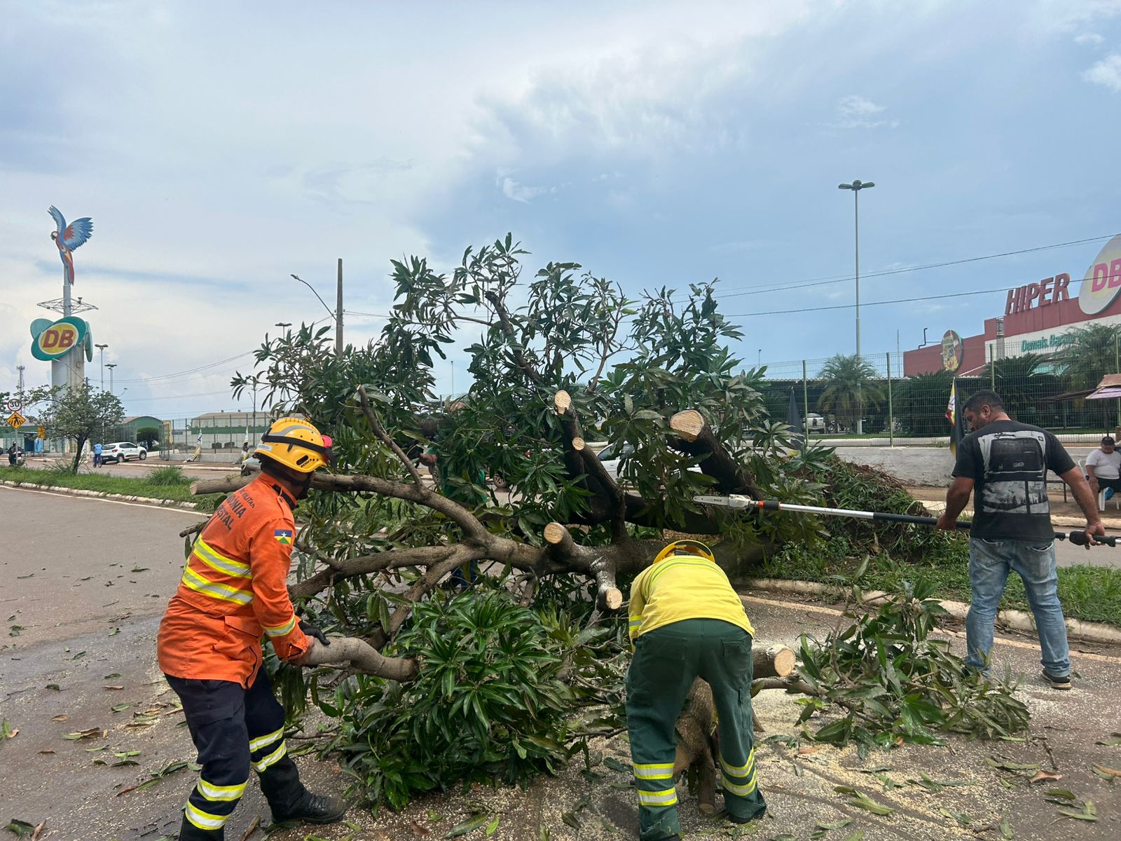 Trabalho contribui para a segurança urbana e a preservação ambiental em Porto Velho
