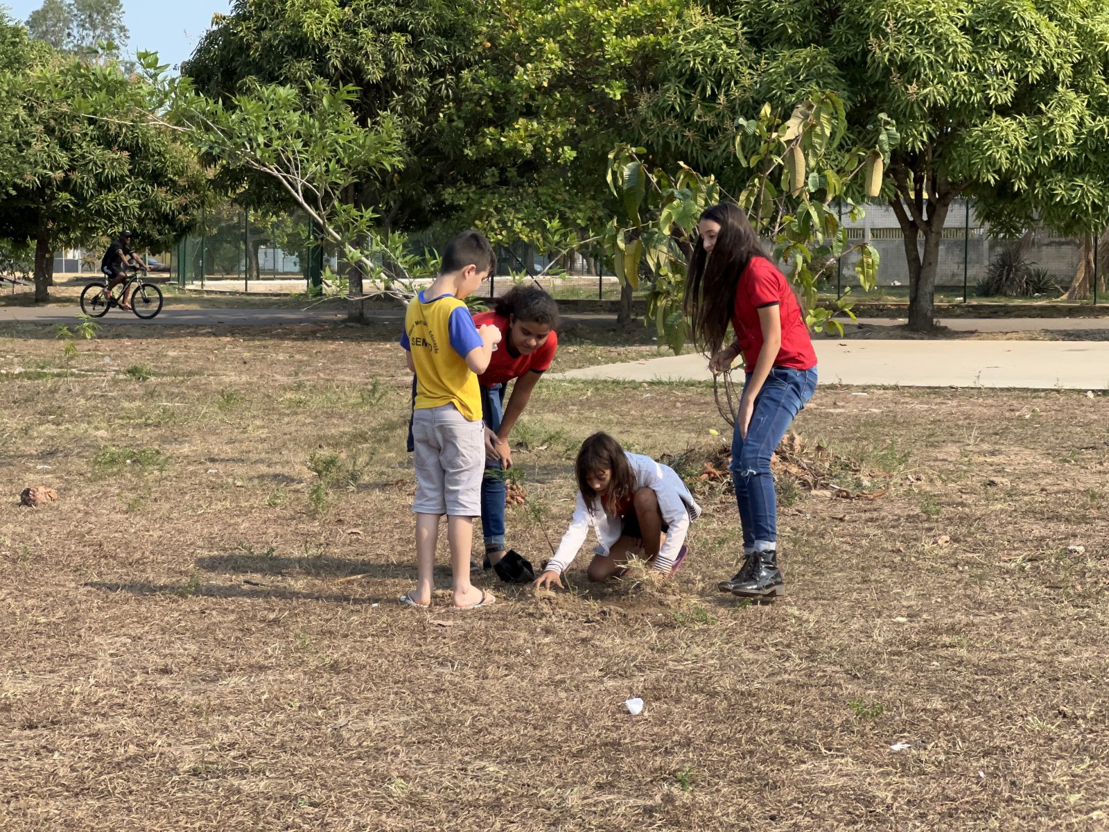 Meta é plantar as 31 mil mudas em 30 minutos