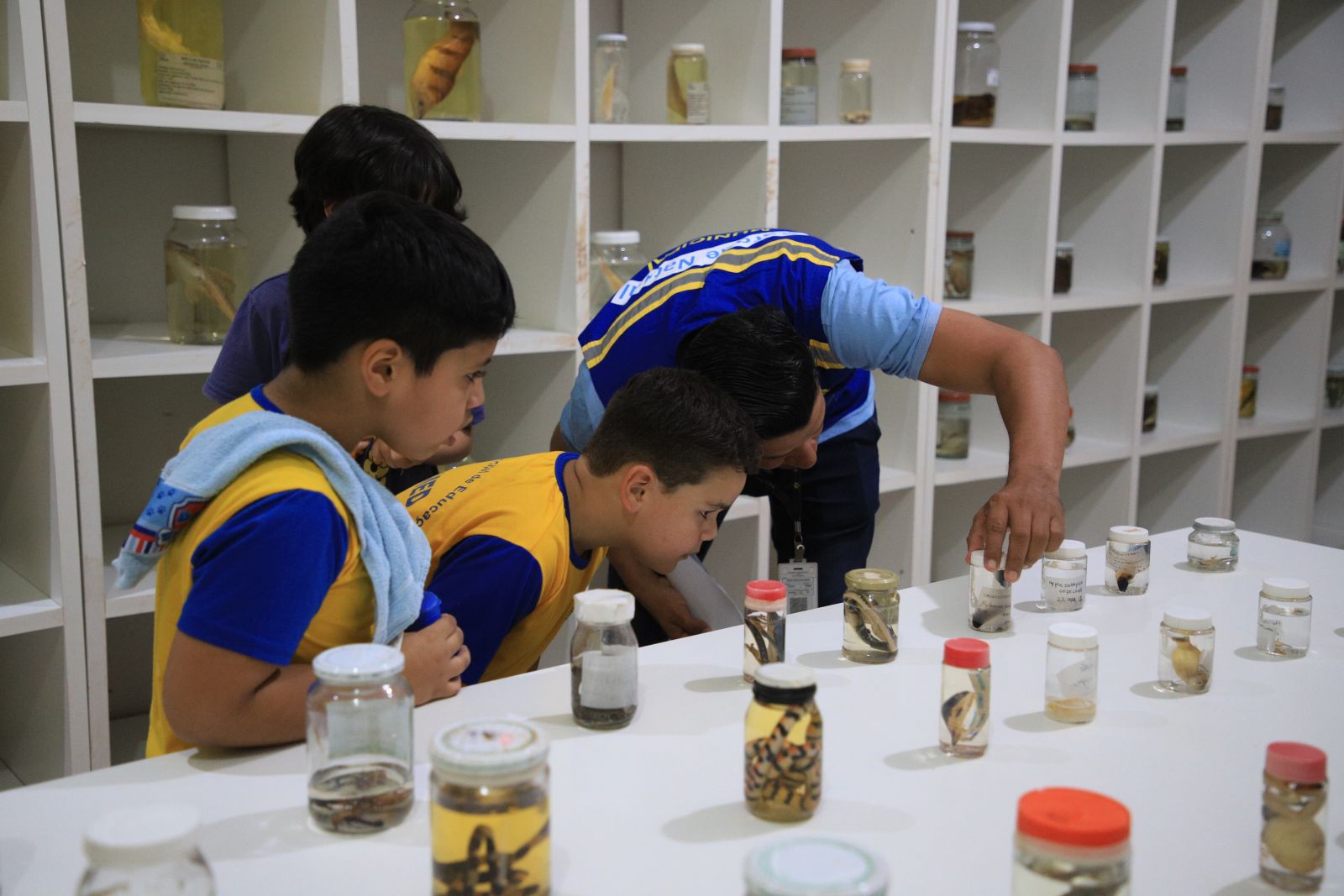 Estudantes visitaram dependências do parque e museu