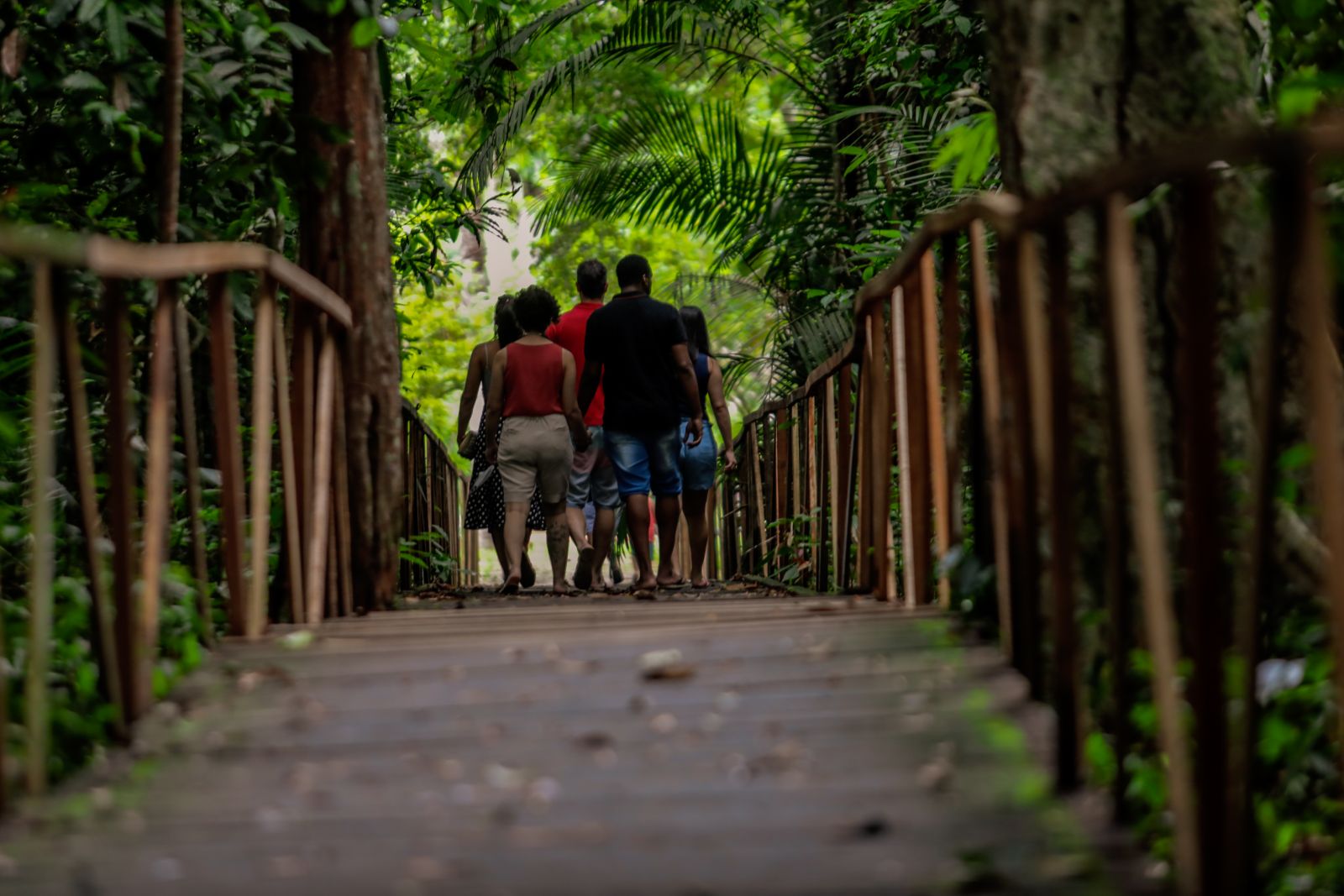 Parque também funciona aos fins de semana para visitas