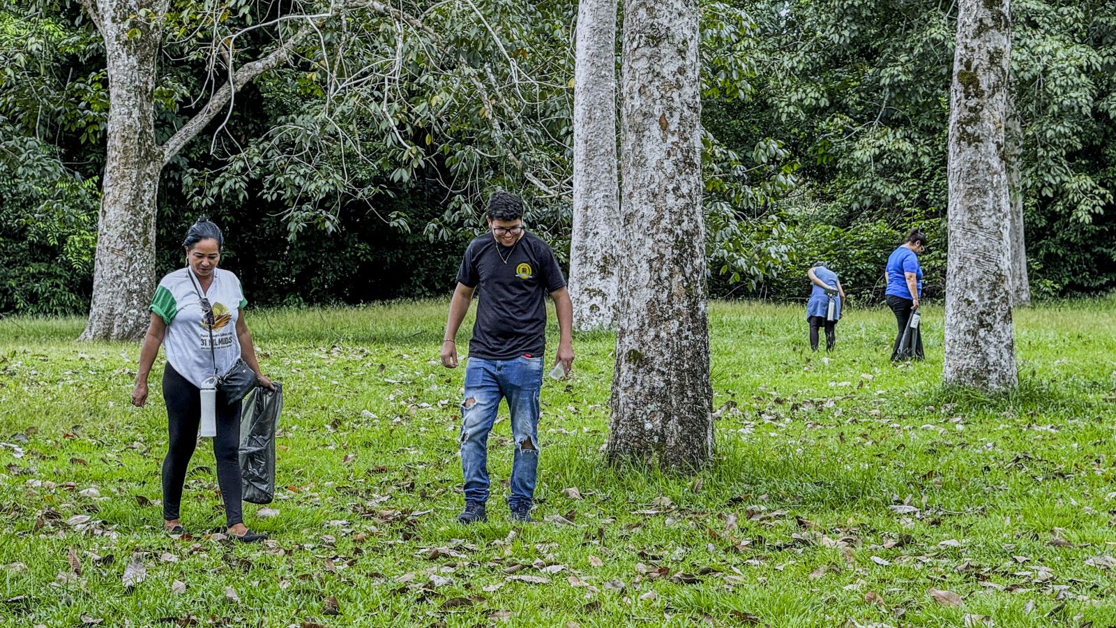 O objetivo dessa ação é promover o plantio da espécie em outros espaços públicos da cidade