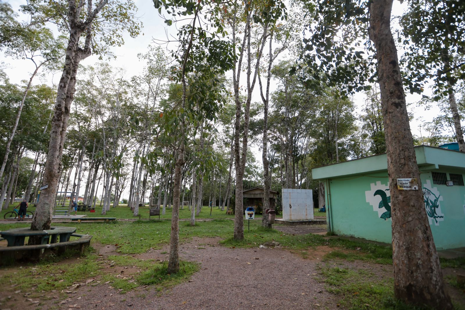 Legislação local estabelece multas, sanções e medidas corretivas para quem descumprir as normas ambientais