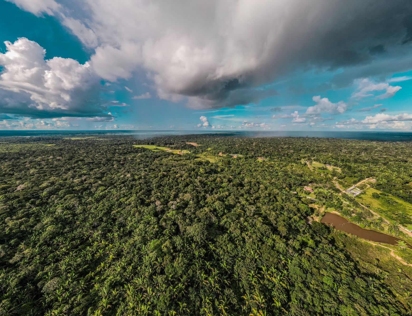 A atuação da Sema é intensificada na política de proteção, conservação e melhoria do meio ambiente.