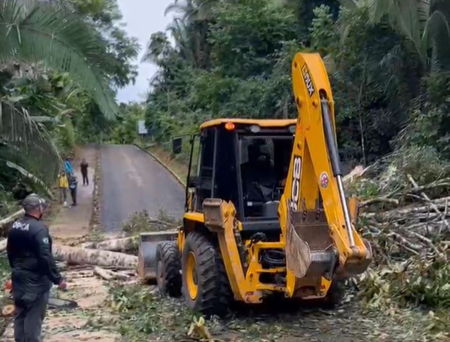 Ação reforça o trabalho contínuo da Sema na manutenção dos parques e áreas verdes da capital