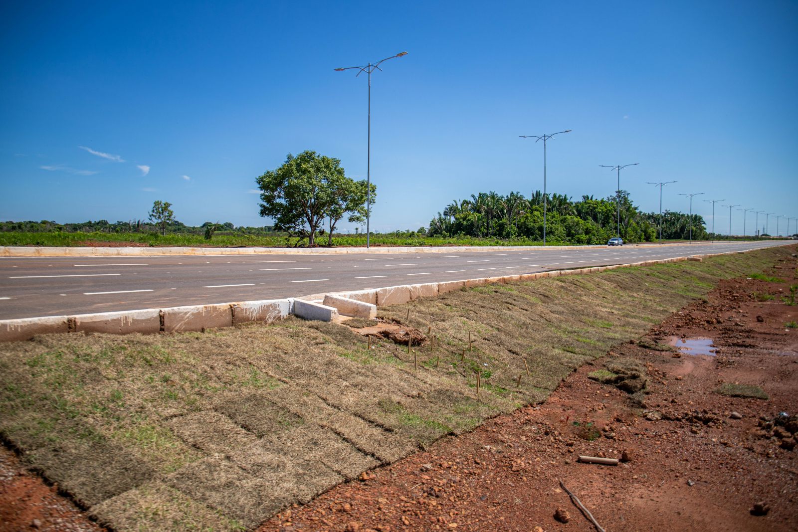 Nas laterais dos meio-fios, também estão sendo plantados blocos de grama em toda a extensão da Santos Dumont