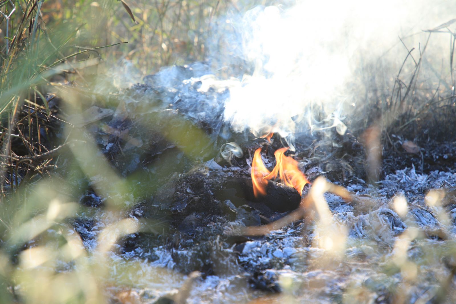 Uso do fogo como técnica de limpeza traz prejuízos à saúde e ao meio ambiente