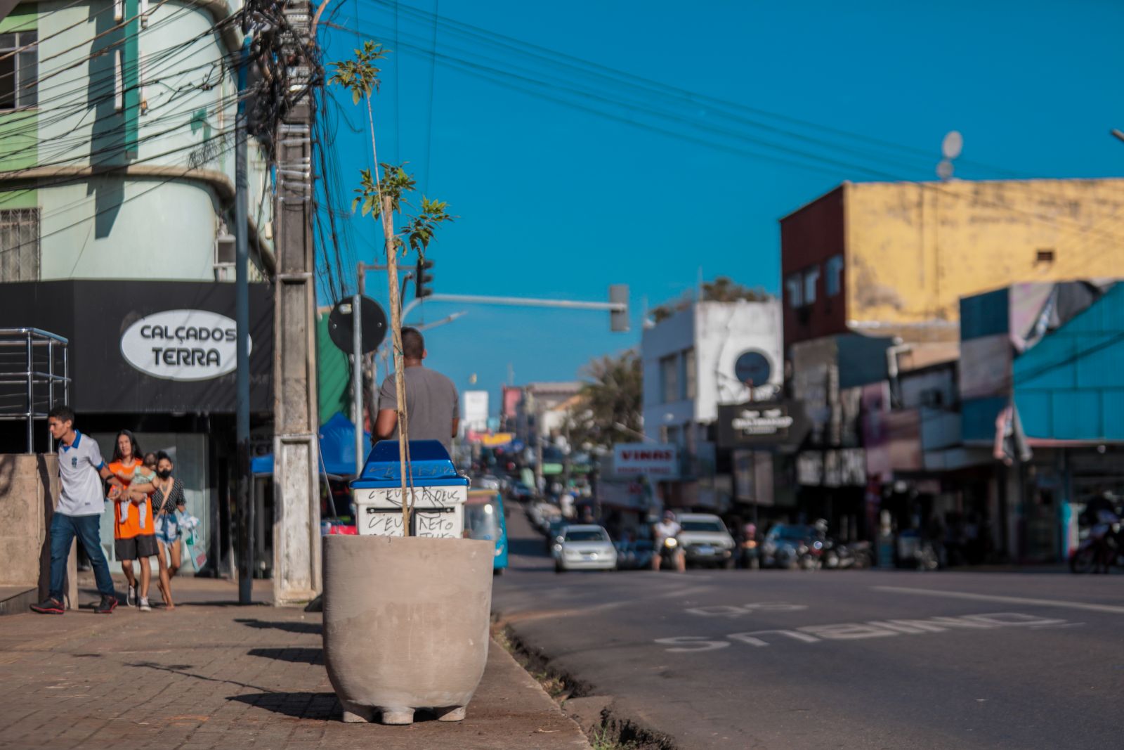 Plantio proporcionará ambiente mais agradável aos moradores