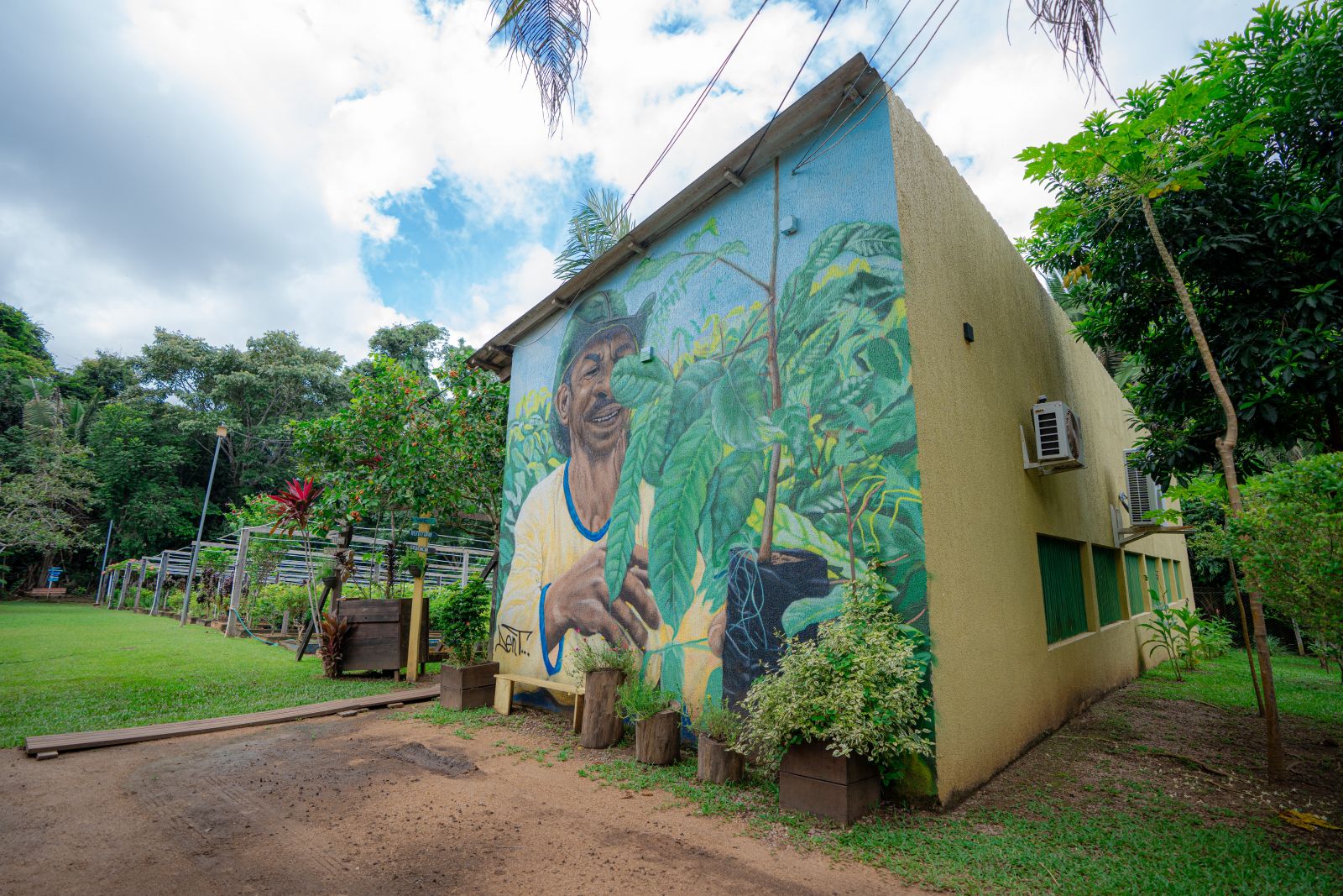 Prefeitura está fortalecendo as ações do Viveiro Municipal