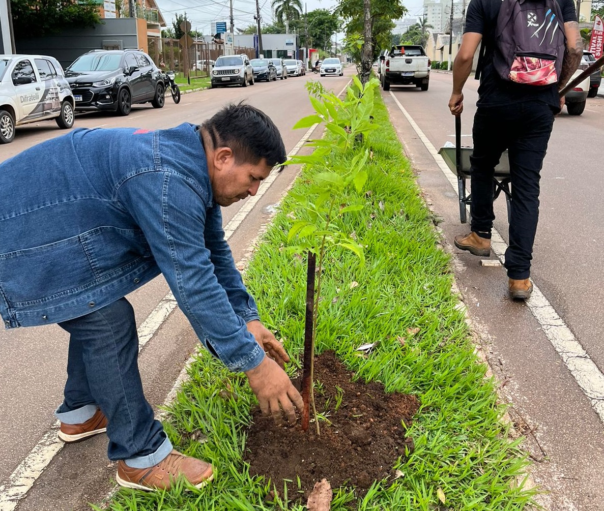 Plantio parte da Travessa Jamari até o aeroporto de Porto Velho