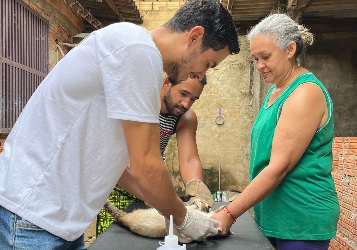 Este serviço também alivia a superlotação em clínicas veterinárias locais