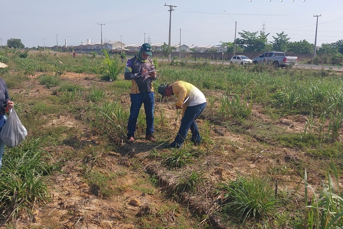  Ações vêm sendo realizadas com o objetivo de preservar e recuperar o meio ambiente