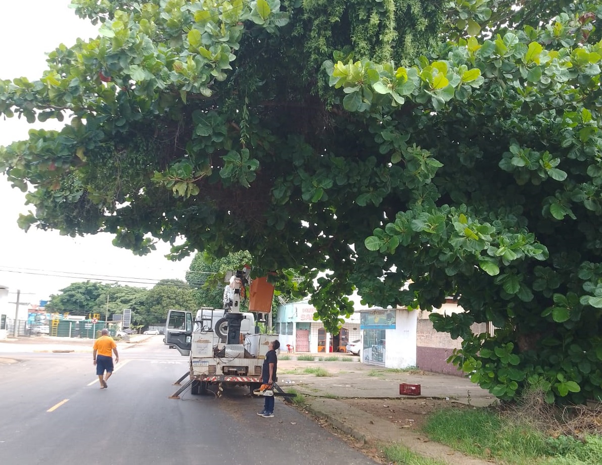 Trabalho deve colaborar com o visual da cidade e também melhorar a trafegabilidade de veículos e pessoas