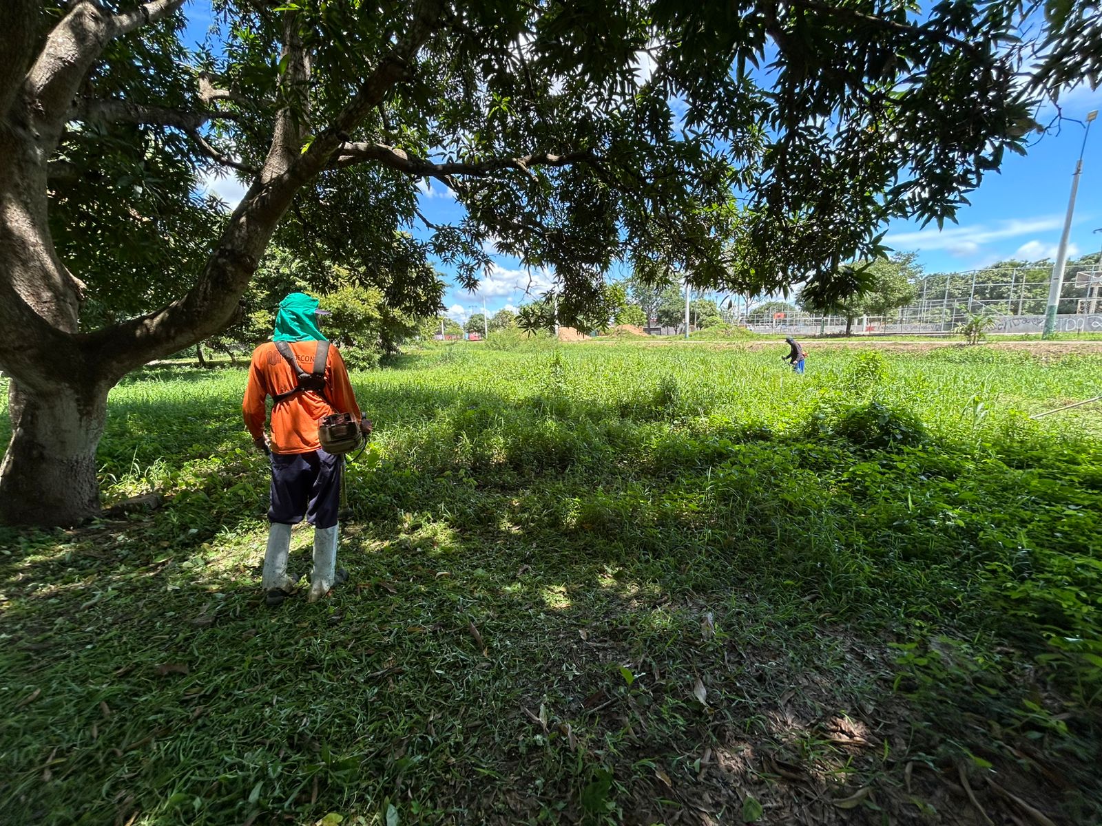 Trabalhos fazem parte da Operação Cidade Limpa