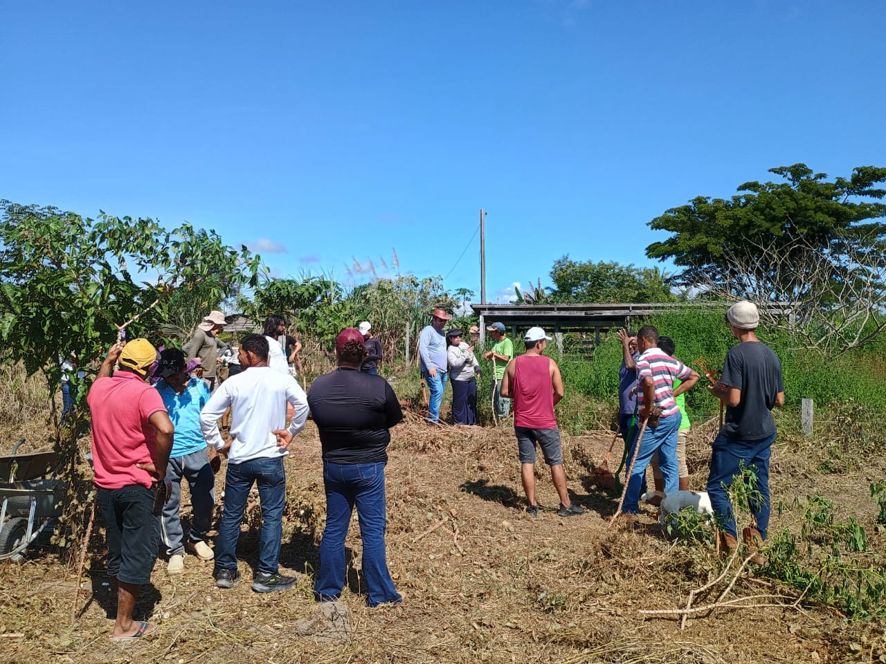 Curso faz parte das ações do projeto Rede Floresta
